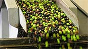 como-se-produz